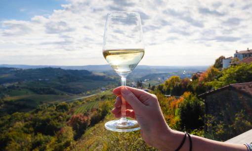 Glas Weißwein mit Panoramablick auf Weinberge.